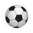 帕洛波贾特logo